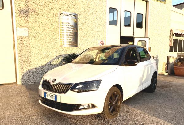 SKODA - FABIA